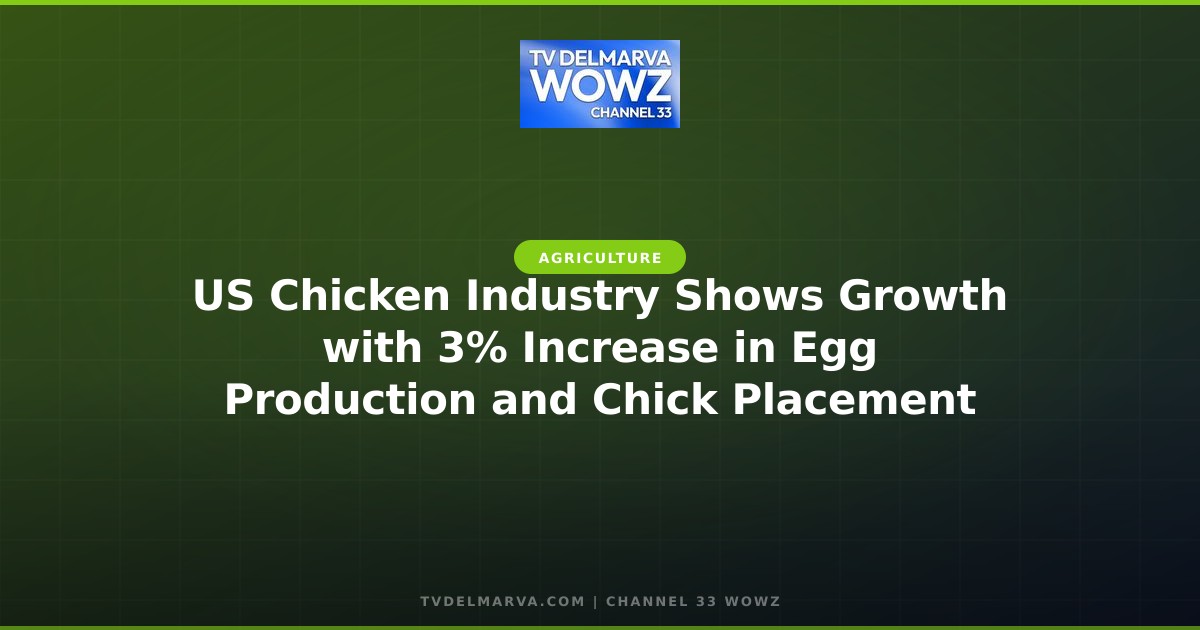 US Chicken Industry Shows Growth with 3% Increase in Egg Production and Chick Placement