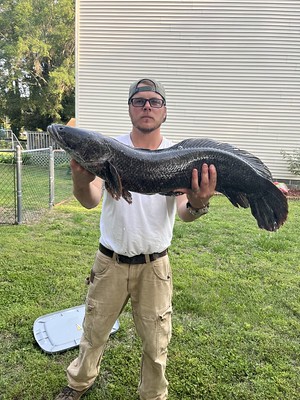 Maryland Waters Offer Diverse Fishing Opportunities as Spring Season Heats Up