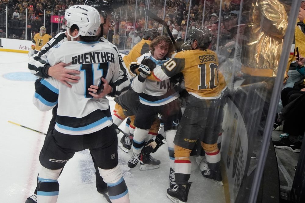 Hockey Coach Pushes for More Video Review to Catch Missed Penalties