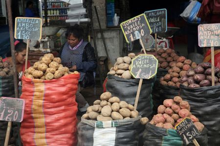 Ancient Potato Diet Shaped DNA of Andean Peoples, New Research Reveals