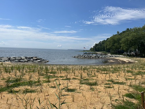 Maryland DNR Launches New Program to Fight Coastal Flooding with Nature-Based Solutions