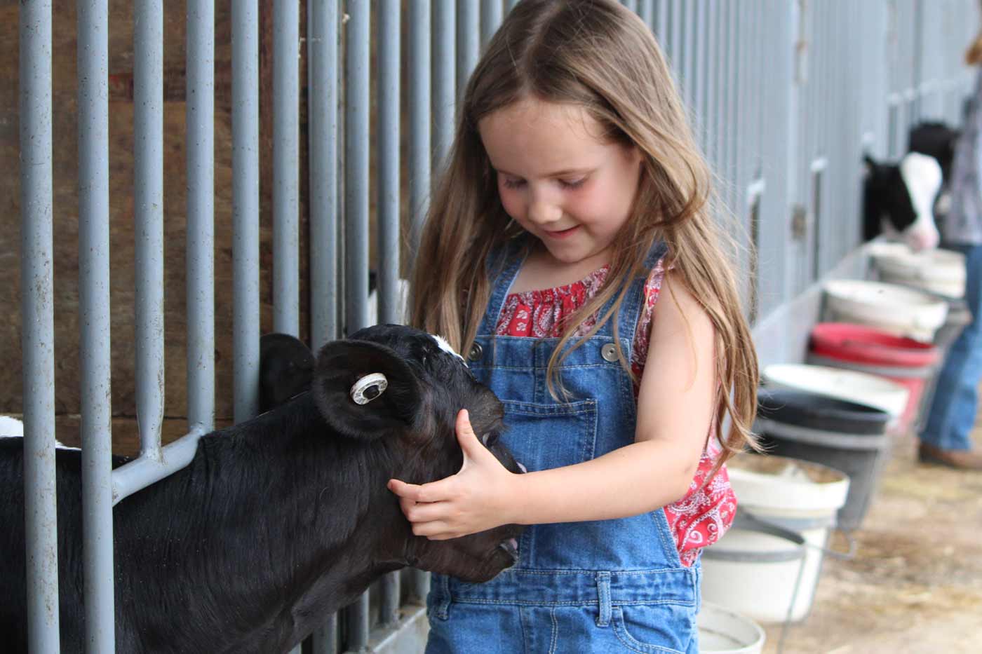 Virginia Farm Passport Programs Draw Visitors to Rural Agricultural Sites