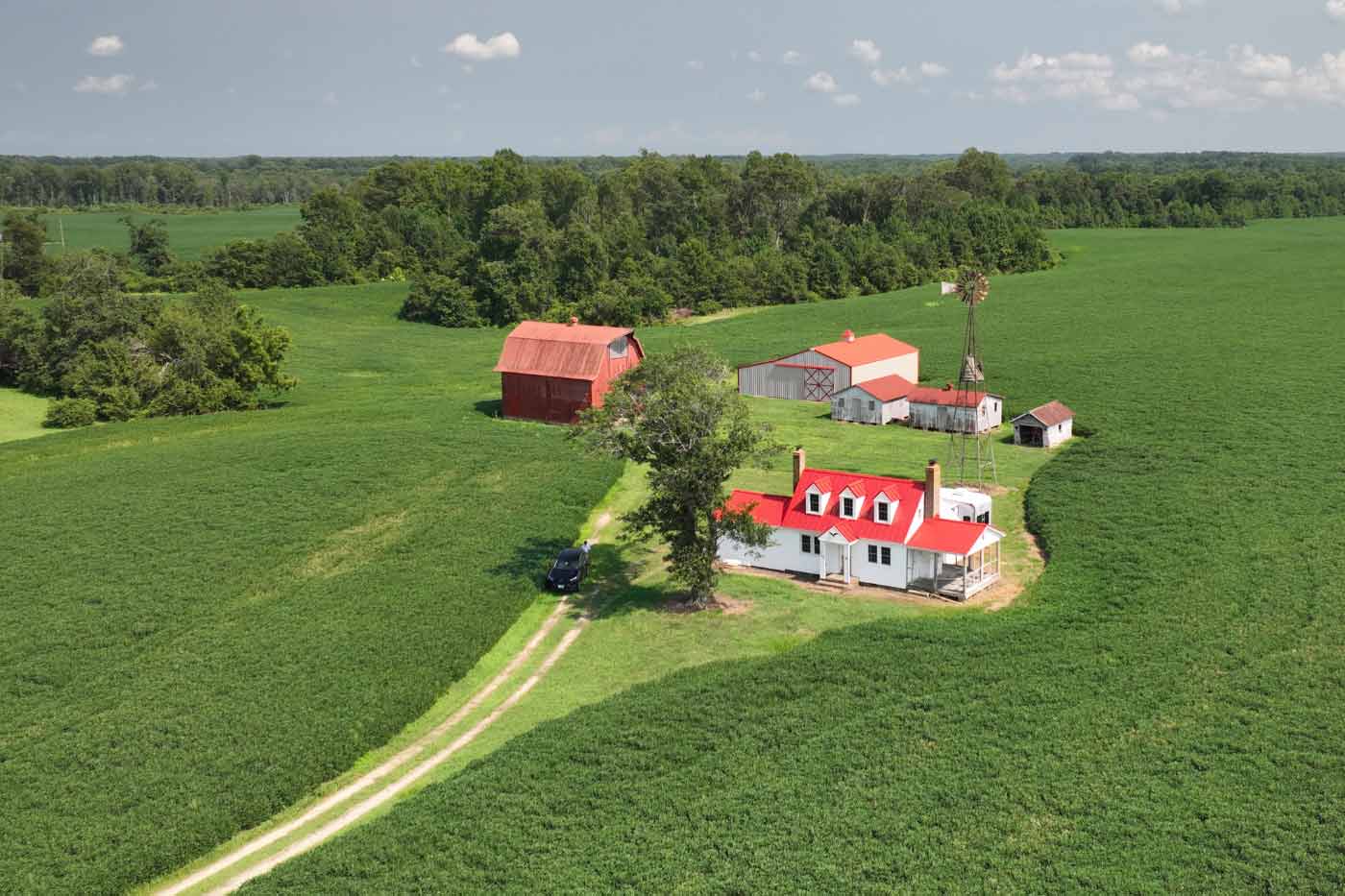Virginia Agriculture Contributes $203 Billion to State Economy, New Report Shows