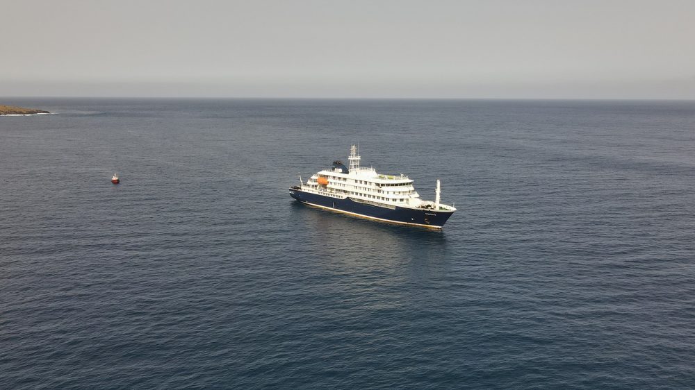 Deadly Hantavirus Outbreak on Cruise Ship Leaves Three Dead