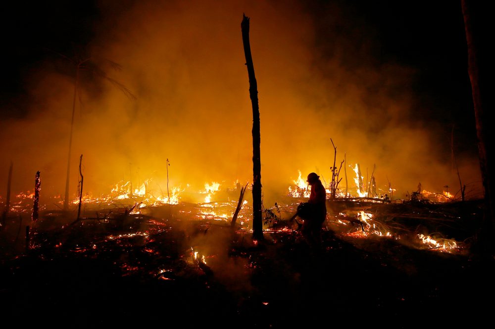 Amazon Forest Degradation Outpaces Deforestation Despite Brazil’s Progress