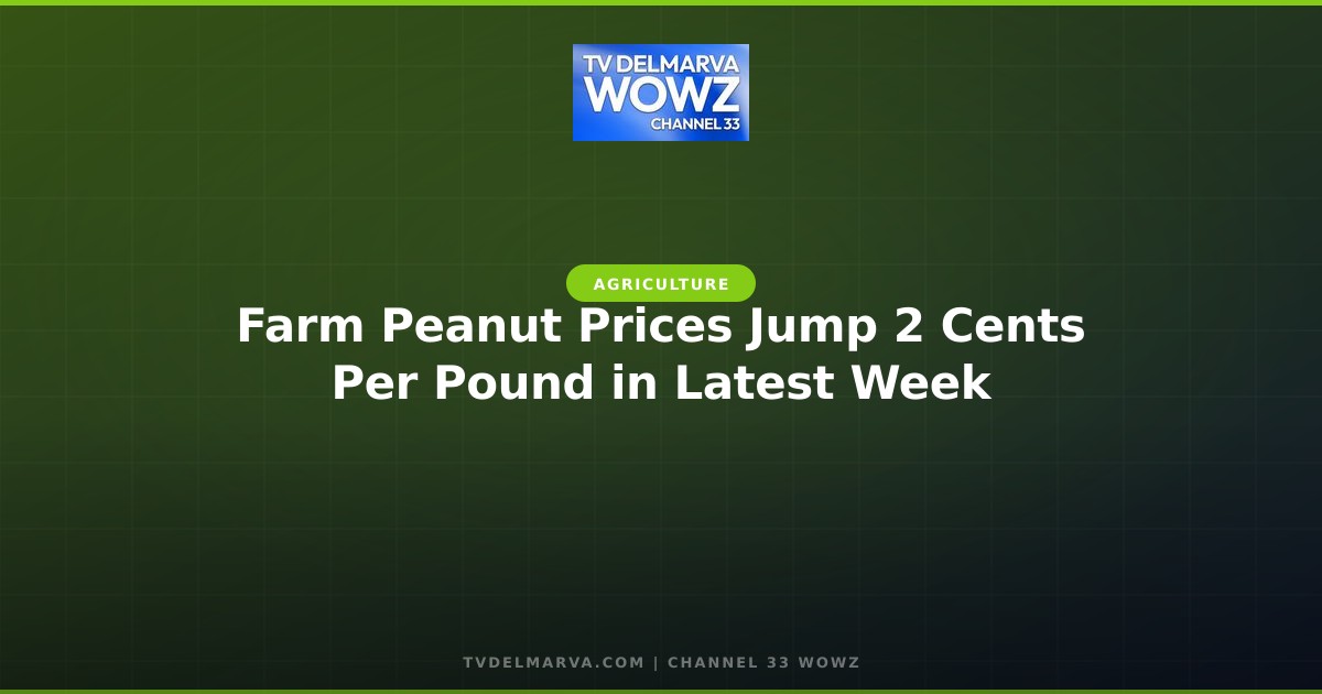 Farm Peanut Prices Jump 2 Cents Per Pound in Latest Week