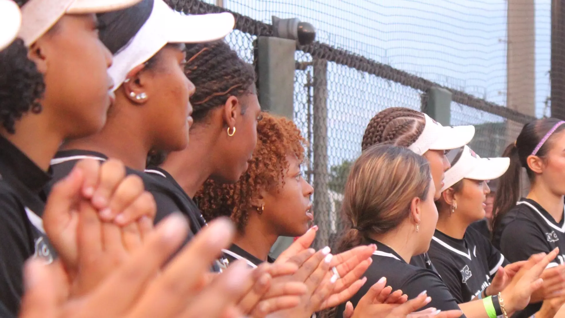 Delaware State Softball Falls to South Carolina State 8-3