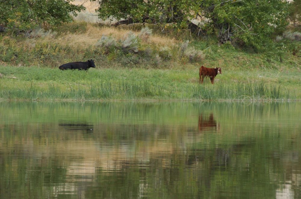 Interior Dept. Scraps Biden-Era Conservation Rule for Federal Lands