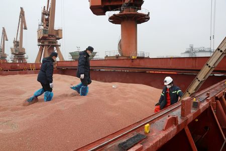Trump-Xi Meeting Could Boost Farm Trade, But Soybean Sales May Stay Flat