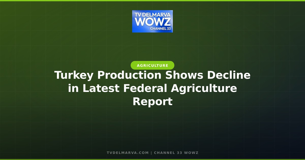 Turkey Production Shows Decline in Latest Federal Agriculture Report