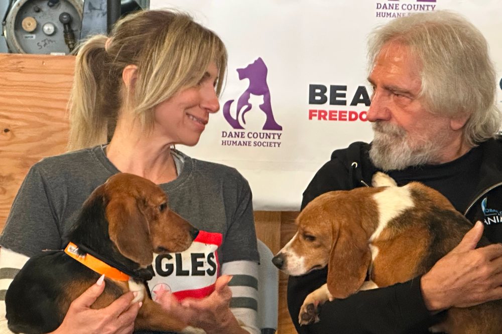 Pop Star Debbie Gibson, Black Sabbath’s Butler Unite to Help Rescue 1,500 Beagles