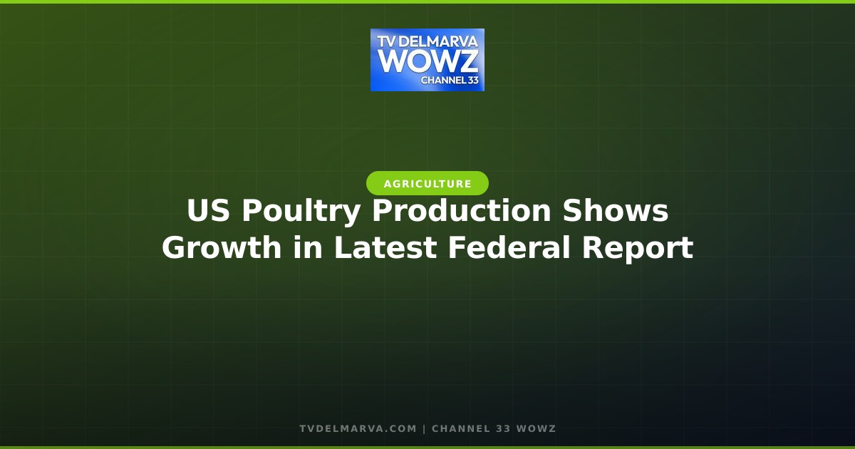 US Poultry Production Shows Growth in Latest Federal Report