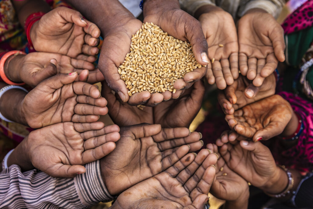 USDA Awards First Wheat Shipment Under Food for Peace Program