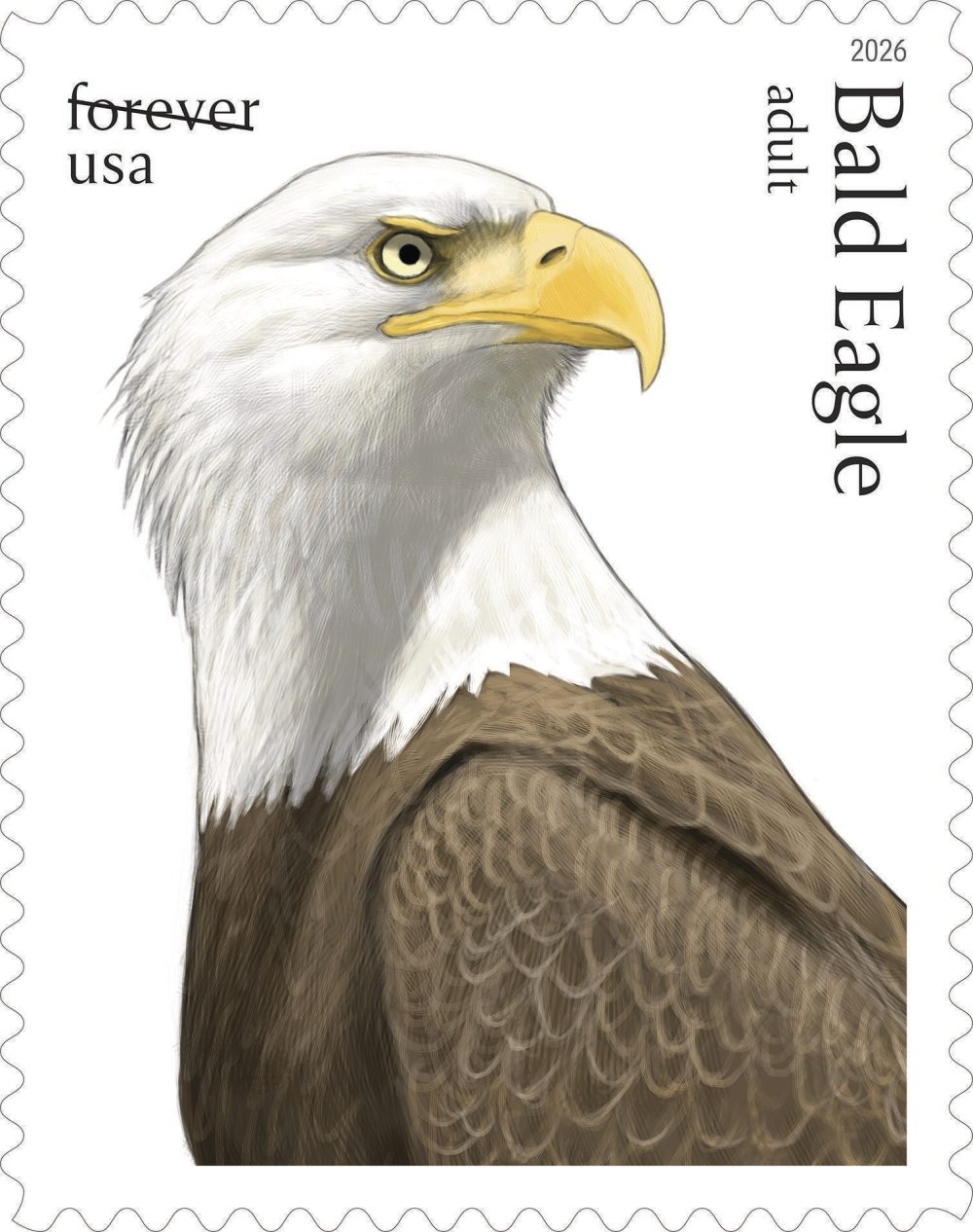 US Postal Service Unveils Bald Eagle Stamps for America’s 250th Anniversary