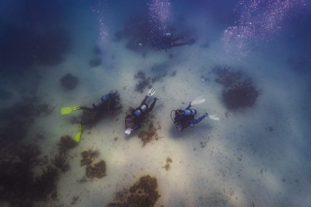Black Divers Make Emotional Pilgrimage to Florida Slave Ship Memorial