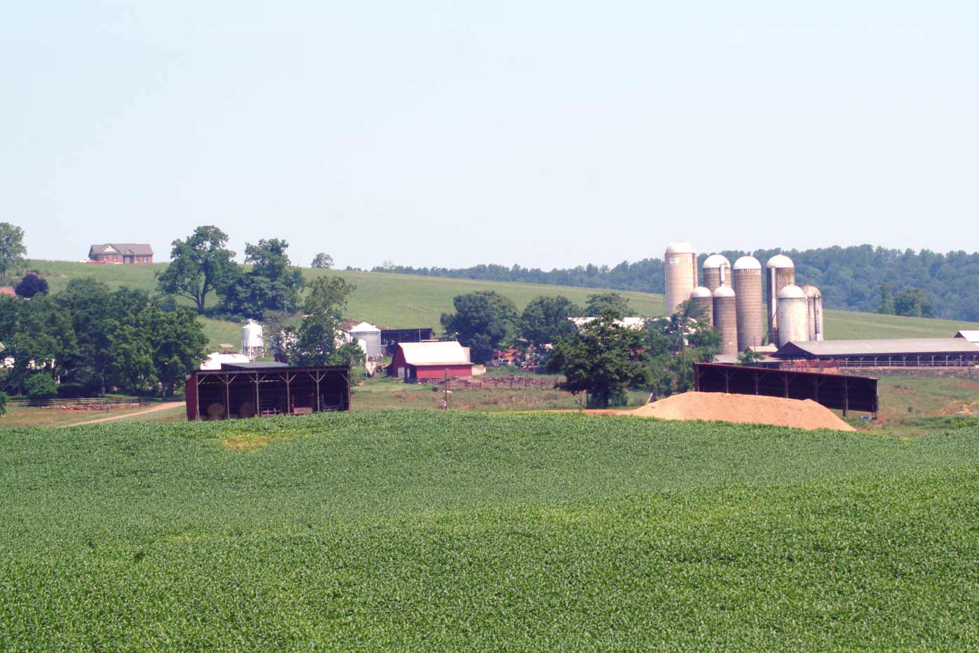 Agricultural Producers Receiving Smaller Portion of Consumer Food Spending