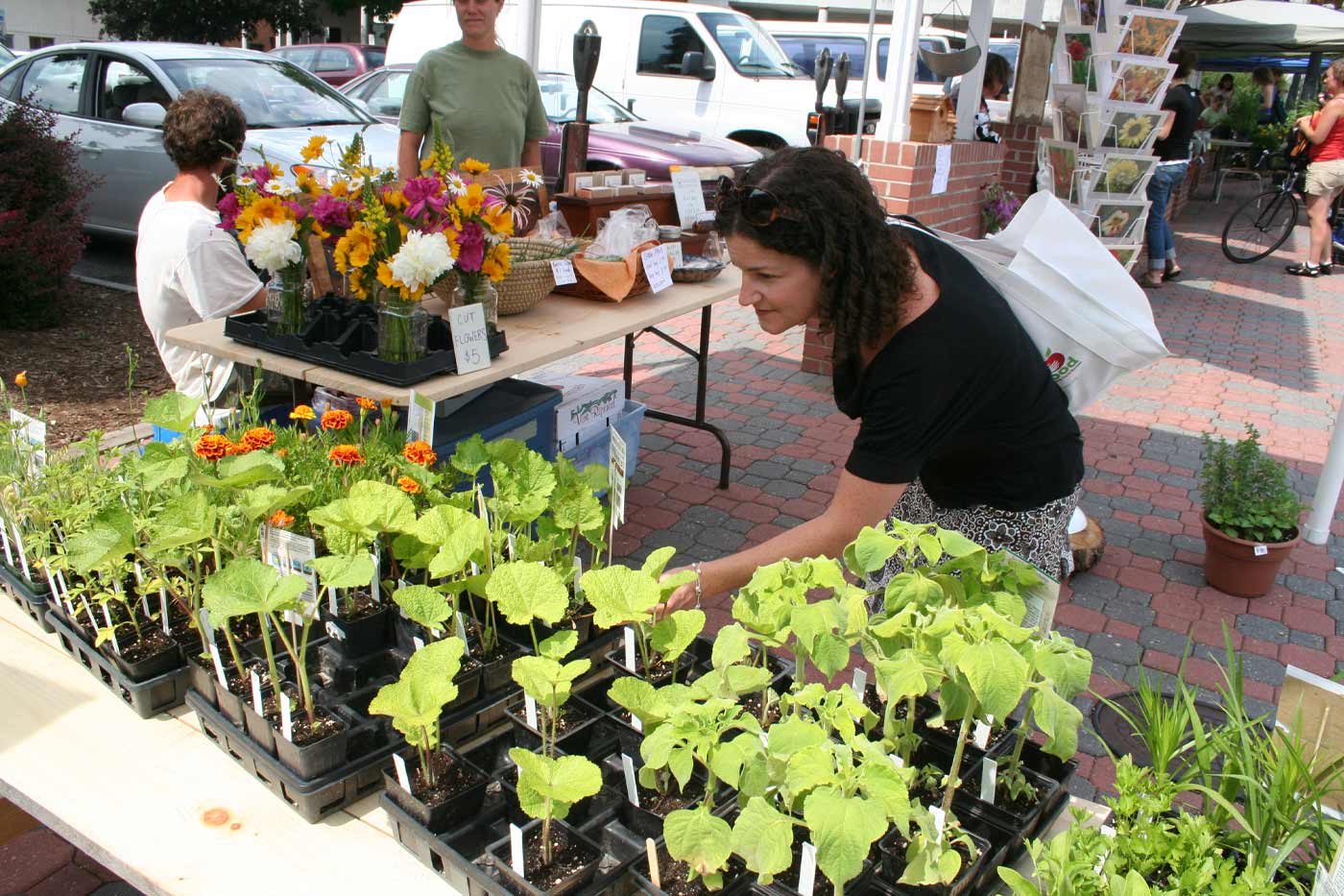 Virginia Farmers Markets Welcome Back Shoppers for Fresh Spring Season