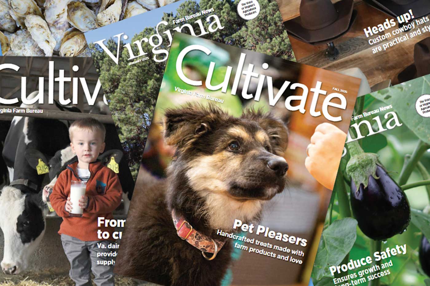 Virginia Farm Bureau Members Receive Quarterly Magazines with Agriculture Tips