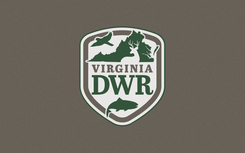 Virginia Fisheries Report Highlights Spring Rockfish Opportunities