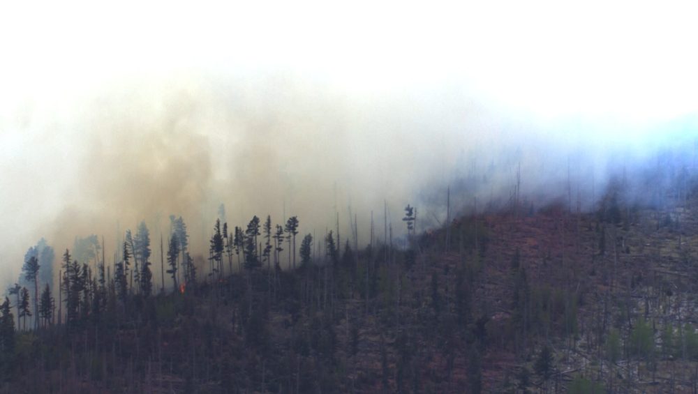Medical Aircraft Crash in New Mexico Mountains Claims Four Lives