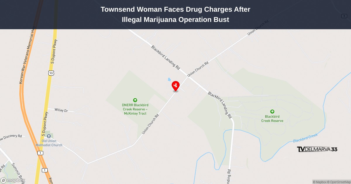 Townsend Woman Faces Drug Charges After Illegal Marijuana Operation Bust