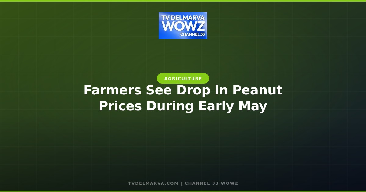 Farmers See Drop in Peanut Prices During Early May