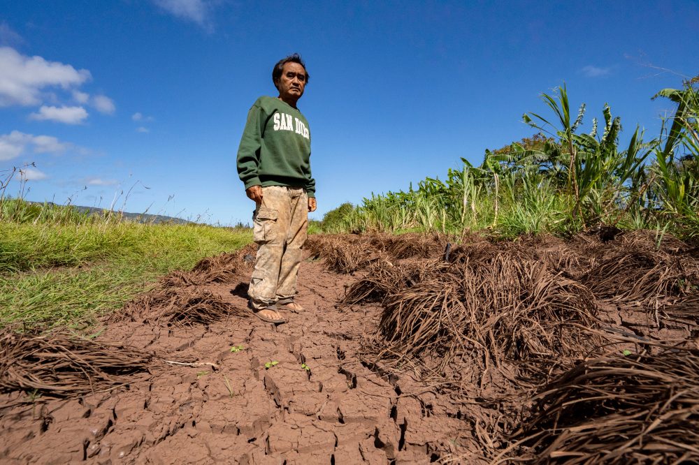 Hawaii Farms Devastated by Worst Flooding in 20 Years, Struggle to Recover