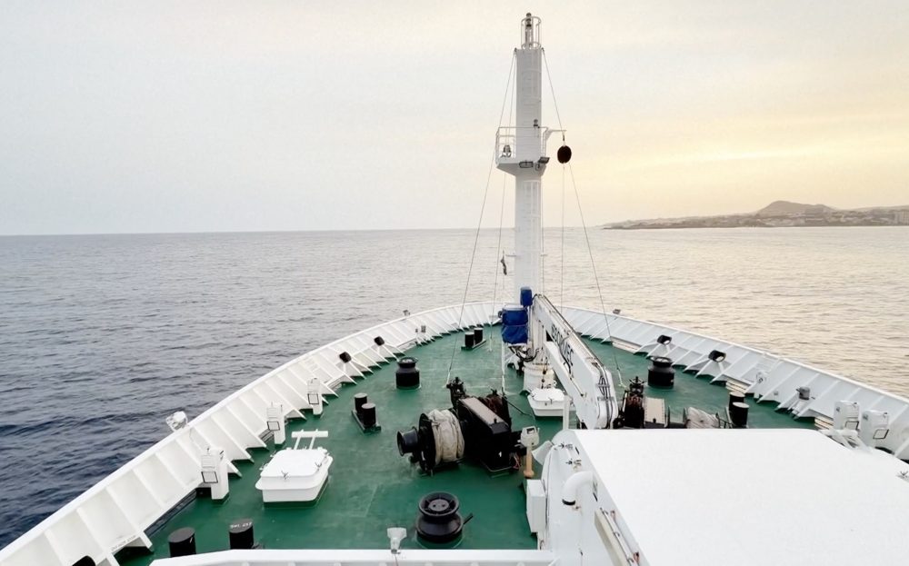 Cruise Bookings Remain Strong Despite Recent Disease Outbreaks at Sea