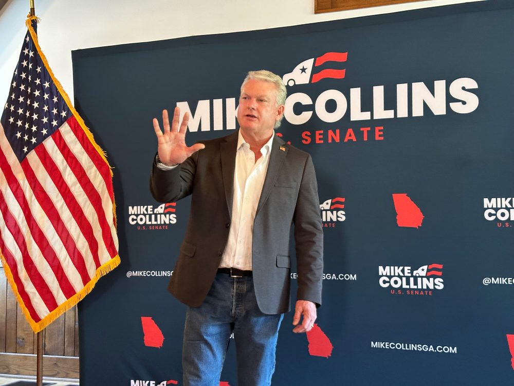 Georgia Primary Elections Set Stage for Key Governor, Senate Races
