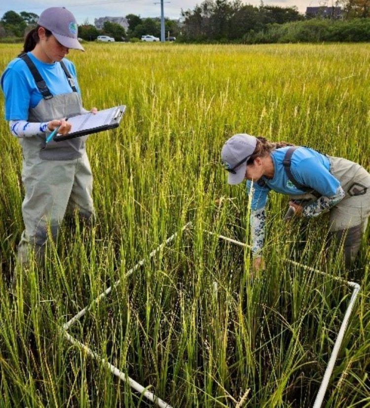 State Environmental Agency Unveils New Five-Year Wetlands Protection Strategy