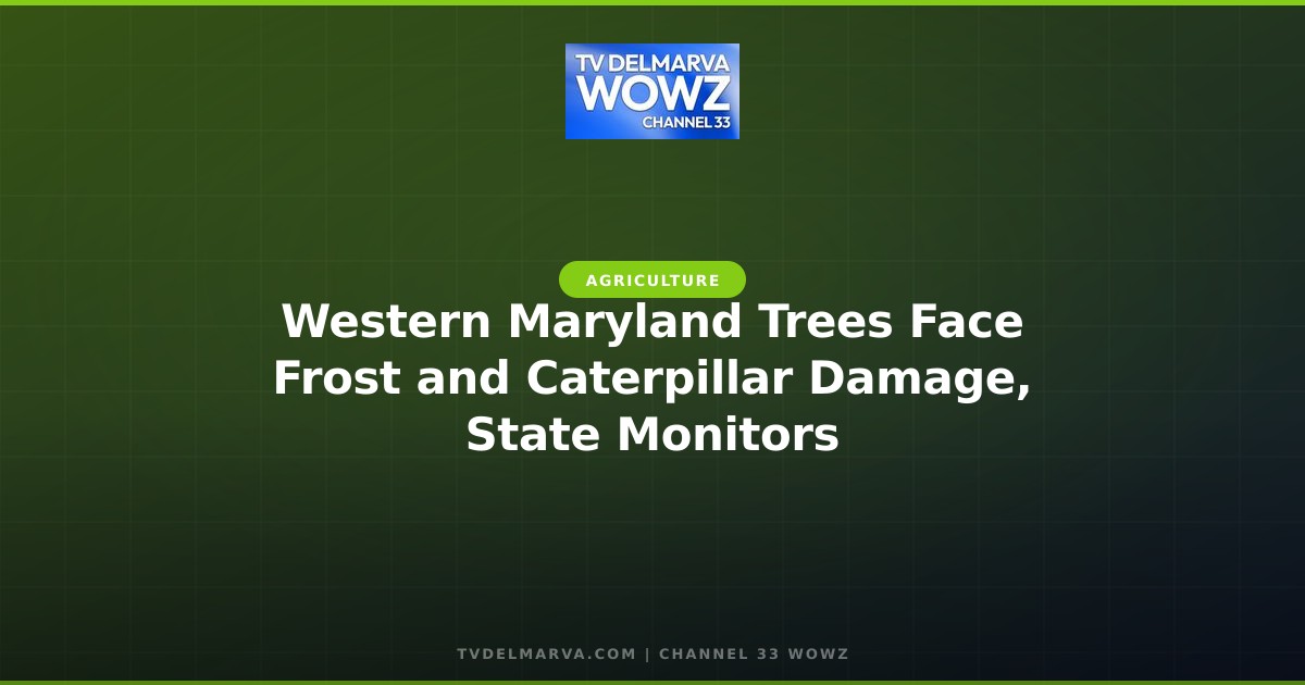 Western Maryland Trees Face Frost and Caterpillar Damage, State Monitors