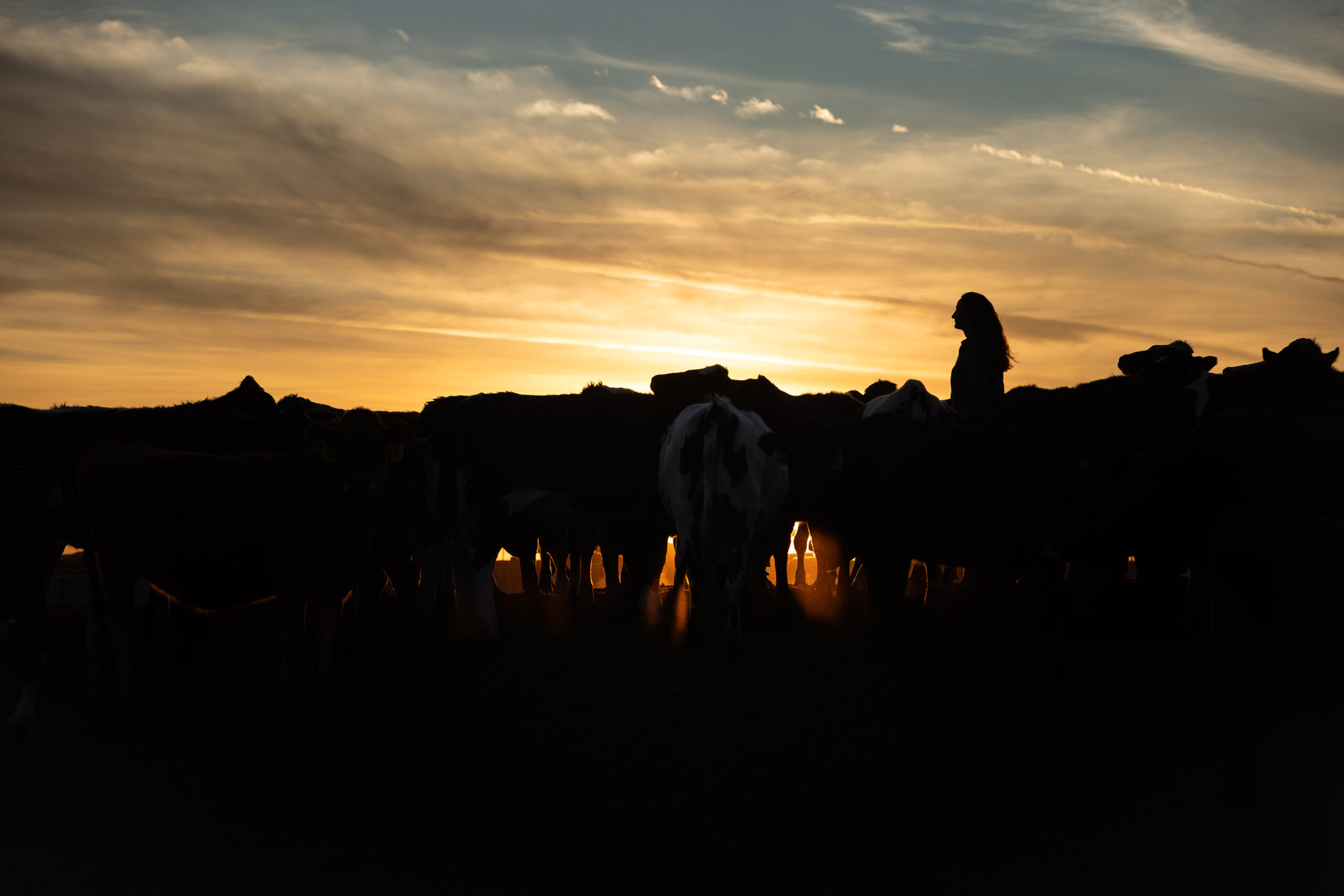 Dairy Industry Leader Michael Dykes Announces Retirement
