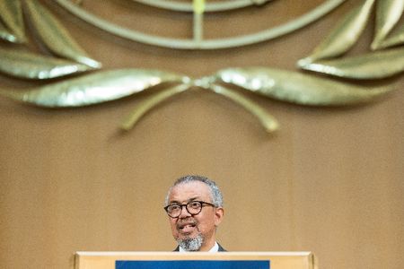 World Health Organization Leader Alarmed by Rapidly Growing Ebola Outbreak