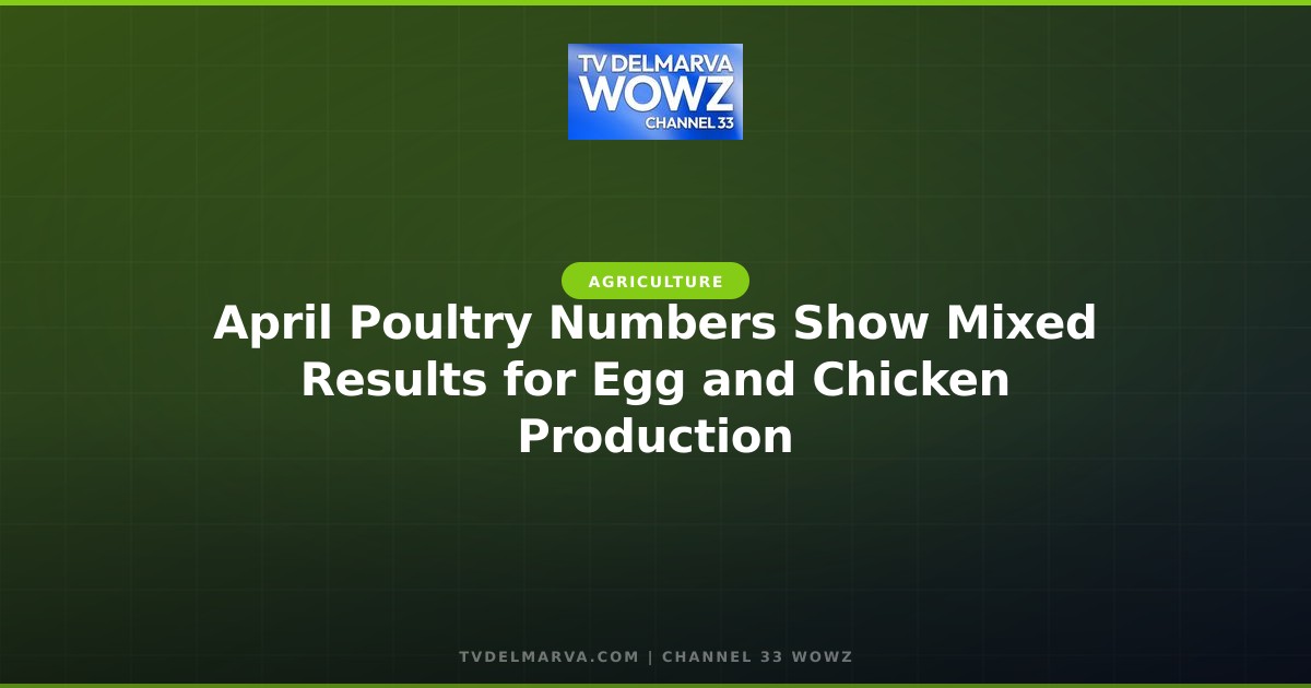 April Poultry Numbers Show Mixed Results for Egg and Chicken Production