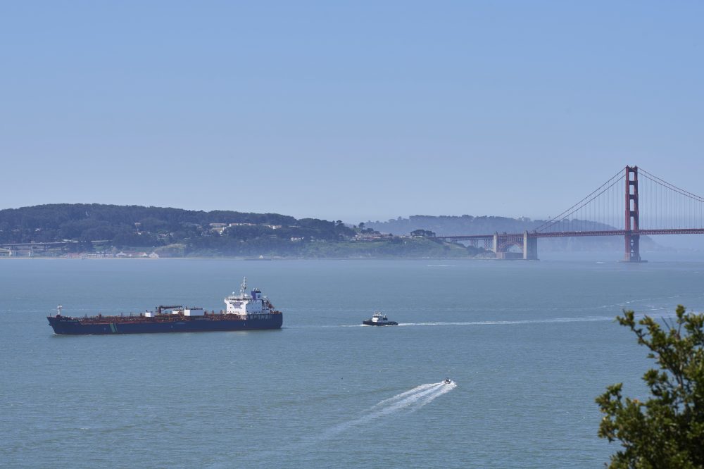 AI-Powered System Now Tracks Whales in San Francisco Bay to Prevent Ship Collisions