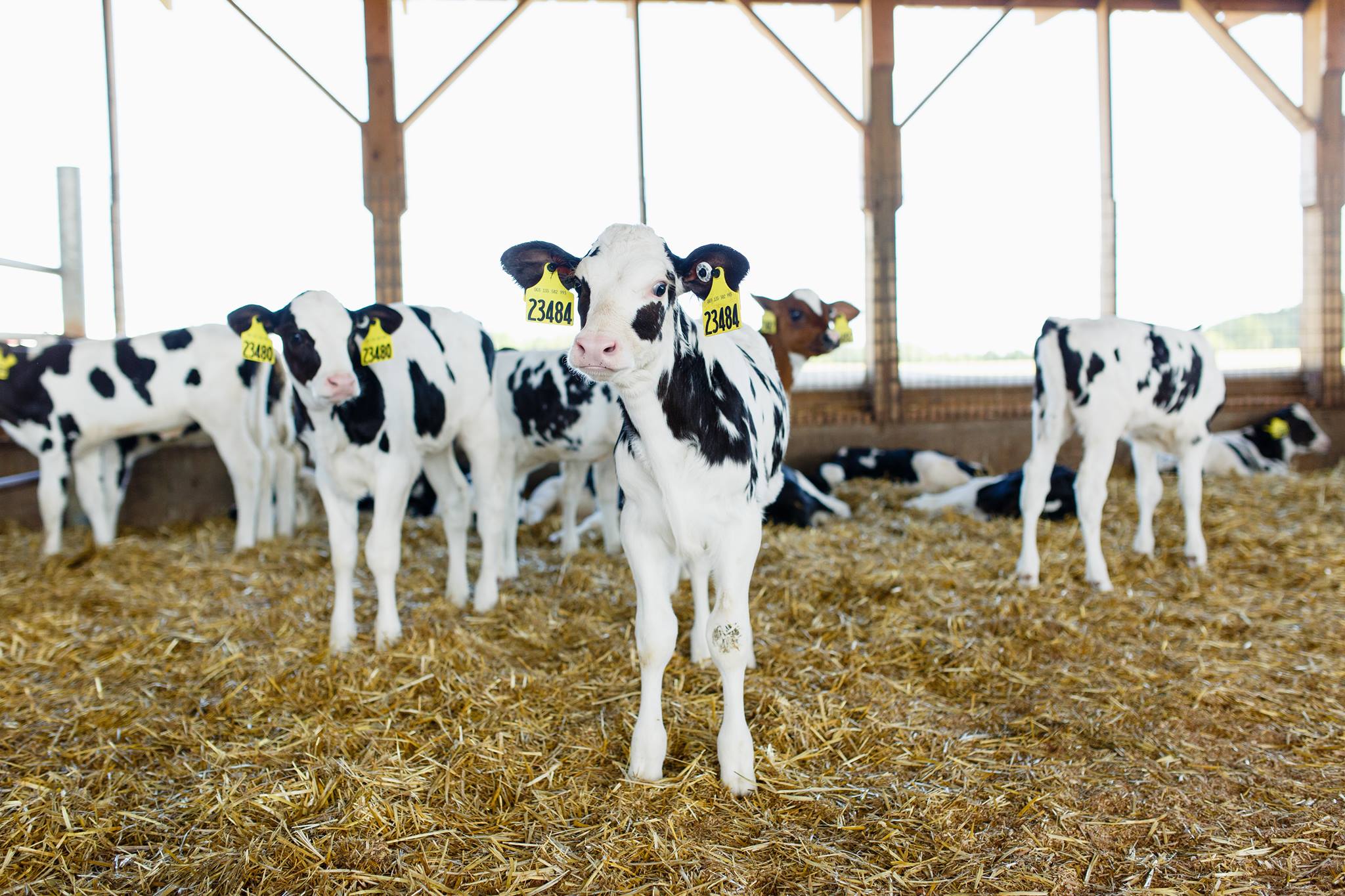 Spring 2026 Regulatory Updates Released