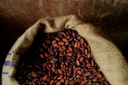 Chocolate Makers Return to Real Cocoa as Bean Prices Drop 70%
