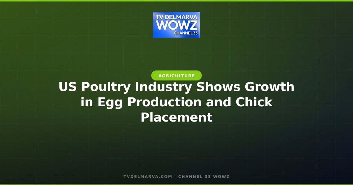 US Poultry Industry Shows Growth in Egg Production and Chick Placement