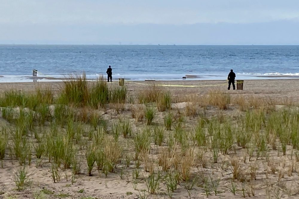 Brooklyn Mother Gets 20 Years to Life for Drowning Three Children at Beach