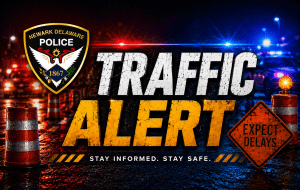 Fallen Tree Shuts Down West Park Place Road
