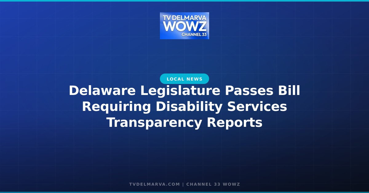 Delaware Legislature Passes Bill Requiring Disability Services Transparency Reports