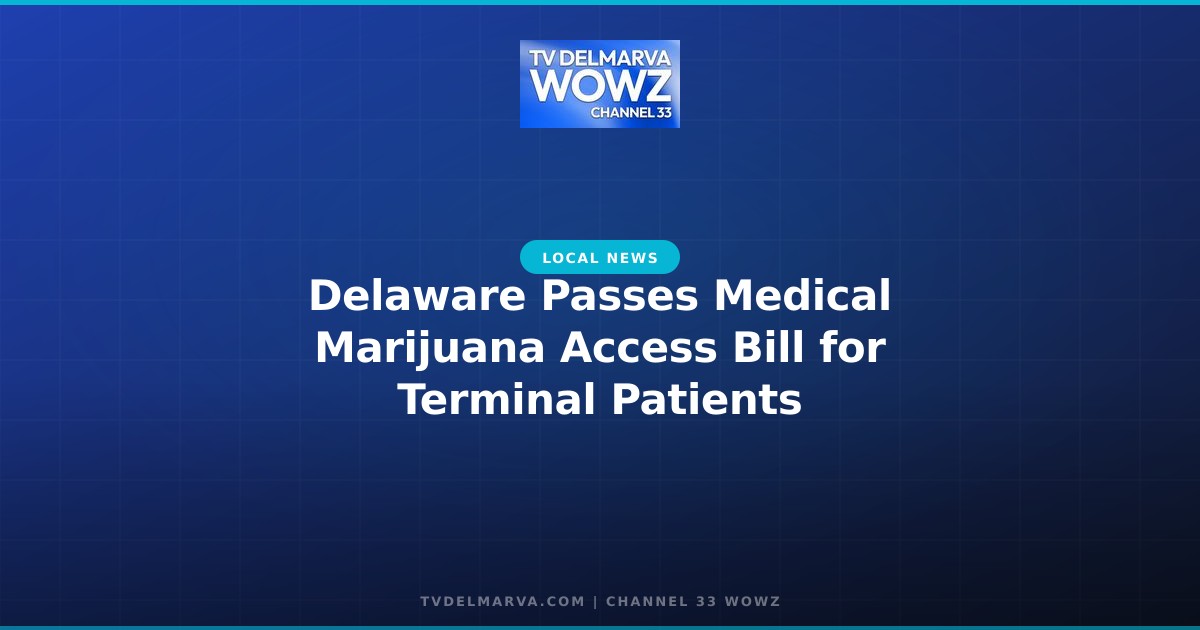 Delaware Passes Medical Marijuana Access Bill for Terminal Patients