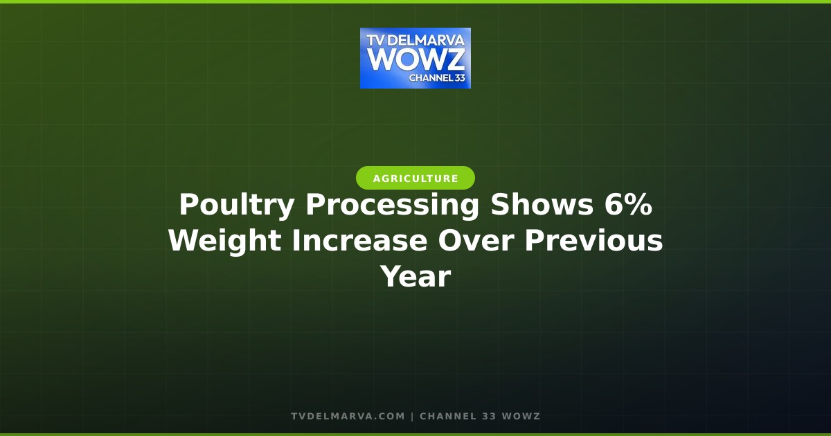Poultry Processing Shows 6% Weight Increase Over Previous Year