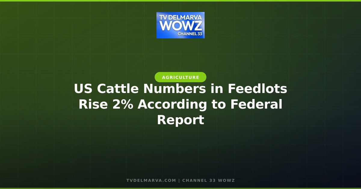 US Cattle Numbers in Feedlots Rise 2% According to Federal Report
