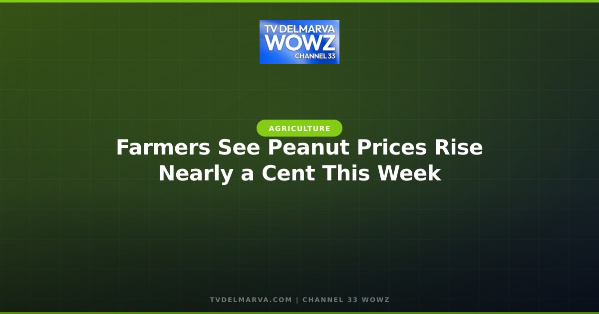 Farmers See Peanut Prices Rise Nearly a Cent This Week