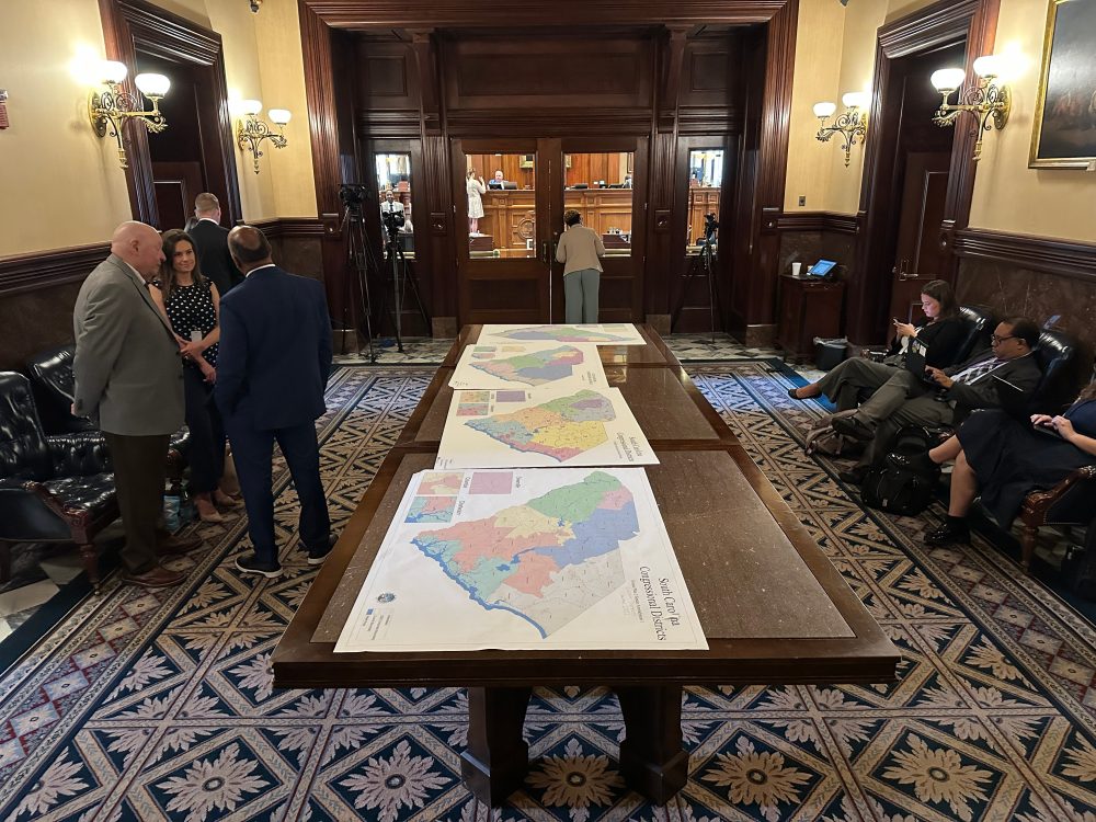 GOP Fast-Tracks District Changes Ahead of November Elections