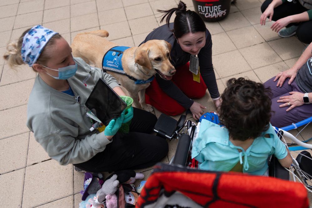 Specially Trained Dogs Bring Comfort to Young Hospital Patients Nationwide
