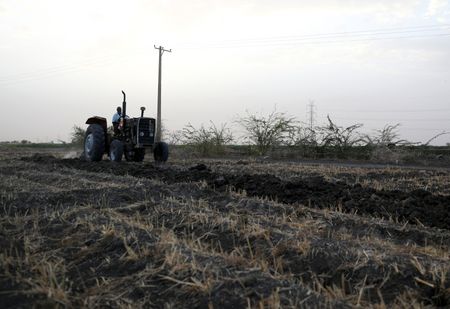 Sudan Farmers Cut Back on Planting as Fuel, Fertilizer Costs Soar Amid War