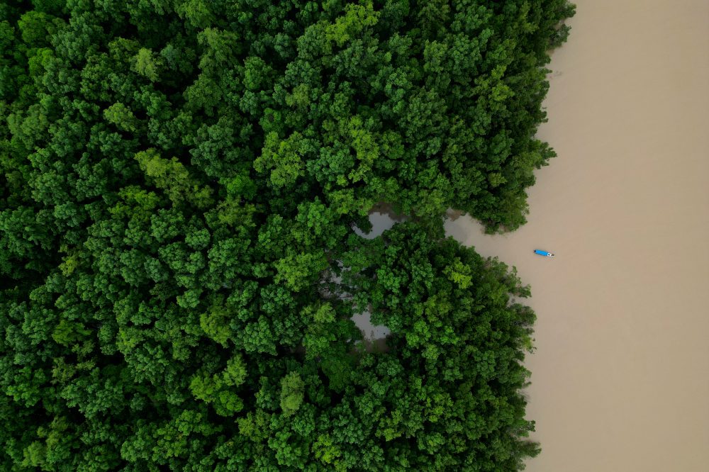 Brazil Allocates $617.5M for Amazon Conservation Investment Program