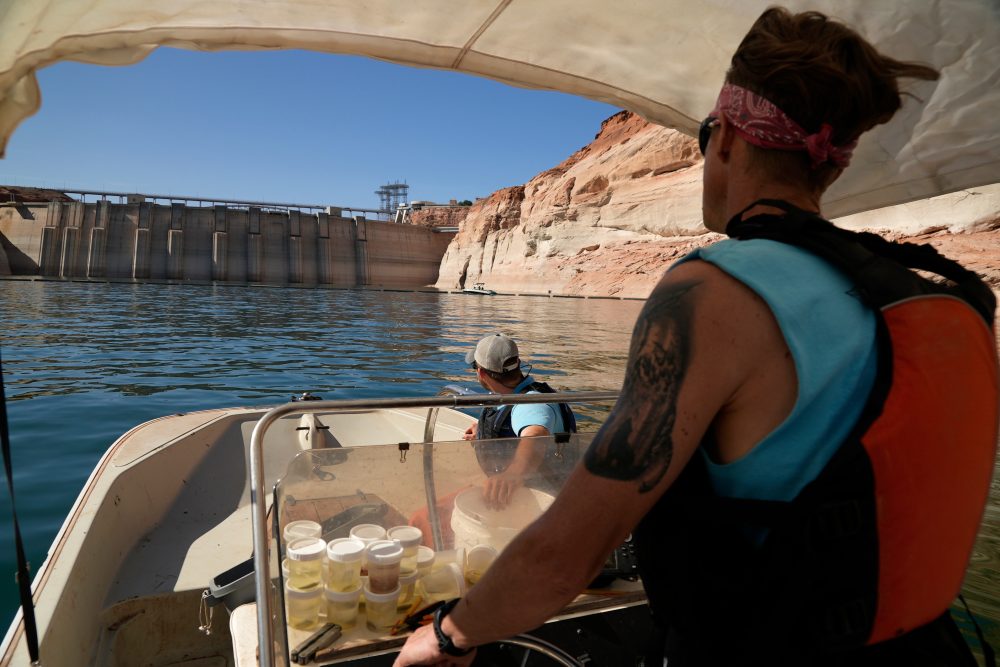 Arizona Dam Faces Choice: Protect Fish or Keep Hydropower Running